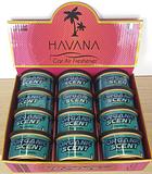 Deo Group Havana Car Air Freshener Odor Deodoriser Perfume 42g Can Last up to 60 days Many Fragrances