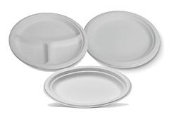 Sugarcane Plates Round and Oval Plates